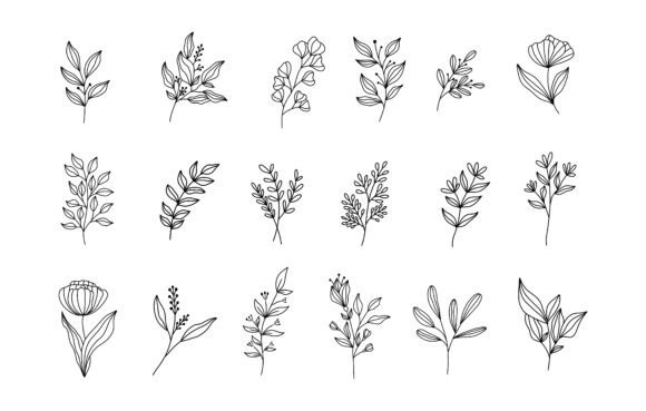 Hand Drawn Line Art Botanical Set: Clean Graphics for Elegant Editorial Design