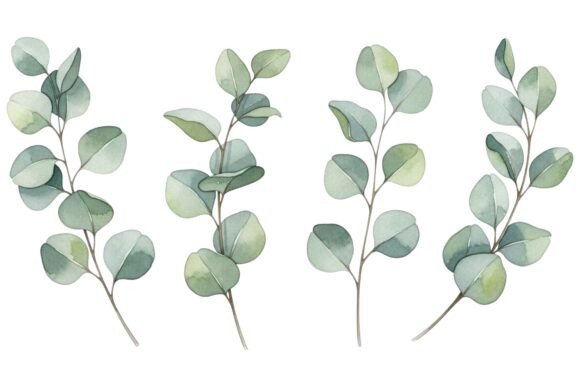 Watercolor Eucalyptus Branch Set: A Soft, Botanical Touch for Blog Graphics & Editorial Design